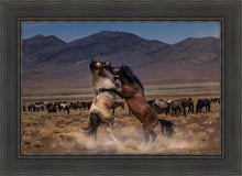Load image into Gallery viewer, Desert Duel
