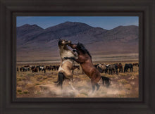 Load image into Gallery viewer, Desert Duel
