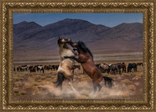 Load image into Gallery viewer, Desert Duel
