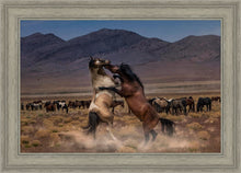 Load image into Gallery viewer, Desert Duel
