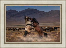 Load image into Gallery viewer, Desert Duel
