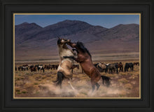 Load image into Gallery viewer, Desert Duel
