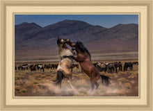 Load image into Gallery viewer, Desert Duel
