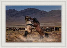 Load image into Gallery viewer, Desert Duel
