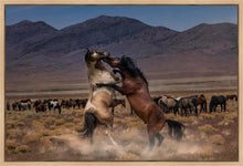 Load image into Gallery viewer, Desert Duel
