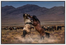 Load image into Gallery viewer, Desert Duel
