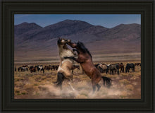 Load image into Gallery viewer, Desert Duel
