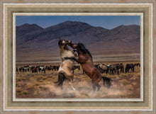 Load image into Gallery viewer, Desert Duel
