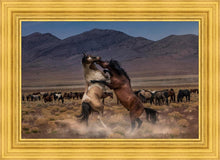 Load image into Gallery viewer, Desert Duel
