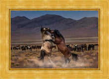 Load image into Gallery viewer, Desert Duel
