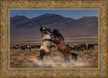 Load image into Gallery viewer, Desert Duel
