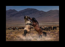 Load image into Gallery viewer, Desert Duel
