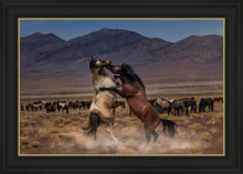 Load image into Gallery viewer, Desert Duel
