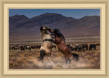 Load image into Gallery viewer, Desert Duel
