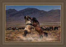 Load image into Gallery viewer, Desert Duel
