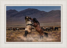 Load image into Gallery viewer, Desert Duel

