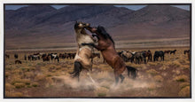 Load image into Gallery viewer, Desert Duel

