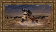 Load image into Gallery viewer, Desert Duel
