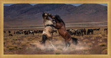 Load image into Gallery viewer, Desert Duel

