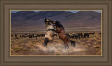 Load image into Gallery viewer, Desert Duel
