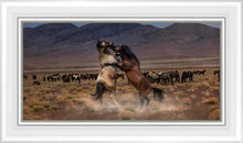 Load image into Gallery viewer, Desert Duel
