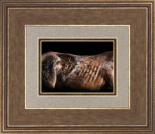 Load image into Gallery viewer, Battle Wounds
