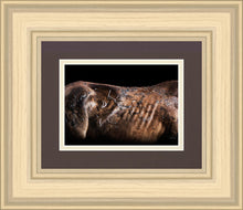 Load image into Gallery viewer, Battle Wounds

