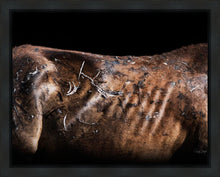 Load image into Gallery viewer, Battle Wounds
