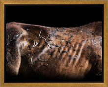 Load image into Gallery viewer, Battle Wounds
