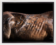 Load image into Gallery viewer, Battle Wounds

