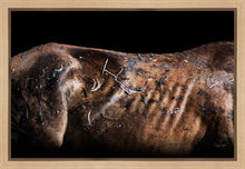 Load image into Gallery viewer, Battle Wounds
