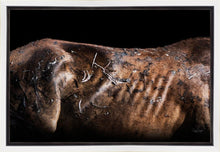 Load image into Gallery viewer, Battle Wounds
