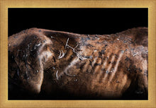 Load image into Gallery viewer, Battle Wounds
