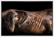 Load image into Gallery viewer, Battle Wounds
