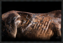 Load image into Gallery viewer, Battle Wounds
