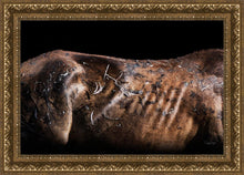 Load image into Gallery viewer, Battle Wounds
