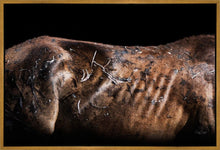 Load image into Gallery viewer, Battle Wounds
