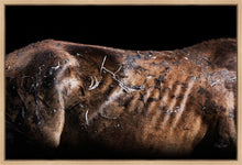 Load image into Gallery viewer, Battle Wounds

