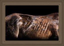 Load image into Gallery viewer, Battle Wounds
