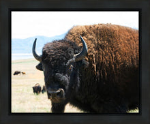 Load image into Gallery viewer, What Are You Looking At
