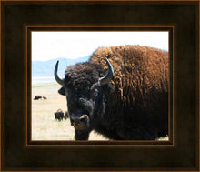 Load image into Gallery viewer, What Are You Looking At
