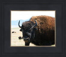 Load image into Gallery viewer, What Are You Looking At
