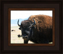 Load image into Gallery viewer, What Are You Looking At

