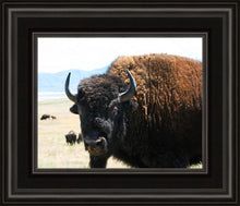 Load image into Gallery viewer, What Are You Looking At
