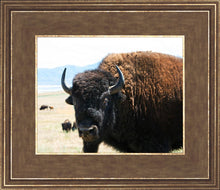 Load image into Gallery viewer, What Are You Looking At
