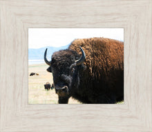 Load image into Gallery viewer, What Are You Looking At
