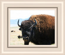 Load image into Gallery viewer, What Are You Looking At
