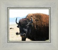 Load image into Gallery viewer, What Are You Looking At
