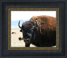 Load image into Gallery viewer, What Are You Looking At
