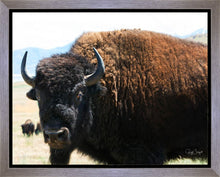 Load image into Gallery viewer, What Are You Looking At
